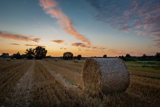 Hay bale in the field and the evening sky, summer view