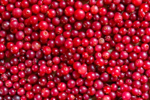 Fresh red and round cranberries, top view, background