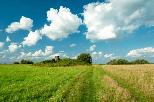 Fresh green meadow and clouds on the blue sky, Czulczyce, Poland