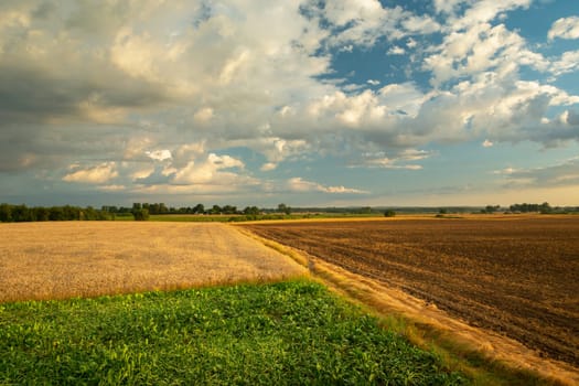Colorful fields and clouds on the sky, Czulczyce, Lubelskie, Poland