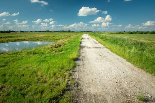 Gravel road through green meadow and blue sky, Gotowka, Lubelskie, Poland