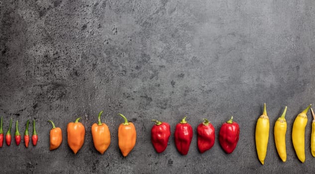 Variety of fresh and dried chili peppers on rustic background