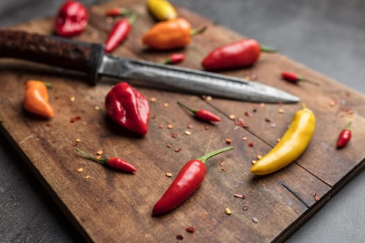 Variety of fresh and dried chili peppers on rustic background