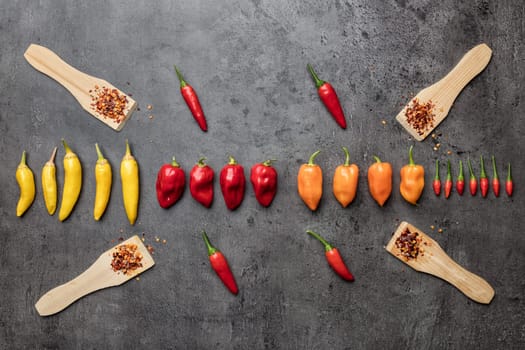 Variety of fresh and dried chili peppers on rustic background