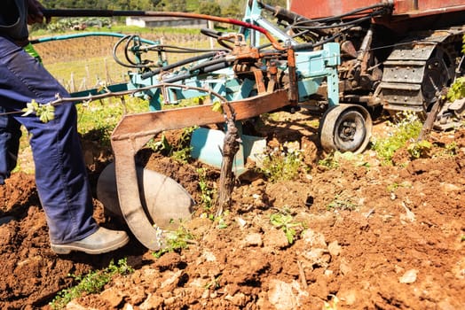 Farmer drives the plow while plowing the vineyard with the crawler tractor. Agricultural industry, winery.