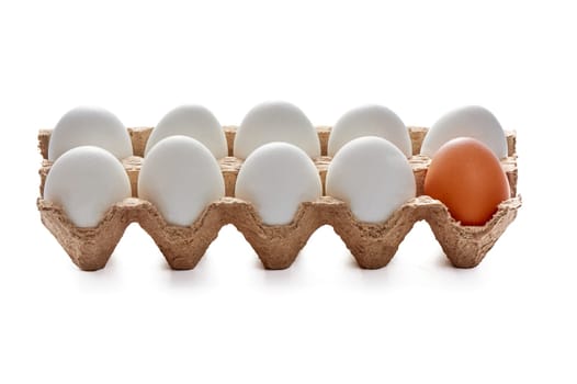 Nine white and one colored eggs on a cardboard stand on a white isolated background, copy space. High quality photo