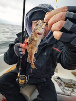 Anglers on the Baltic Sea