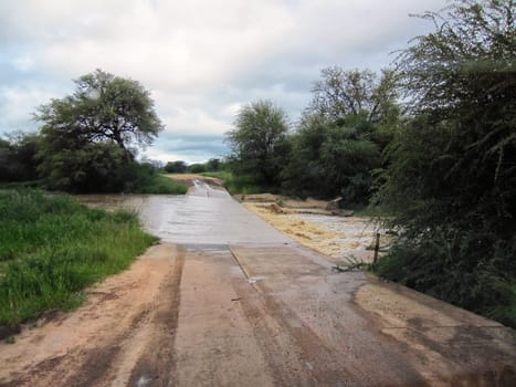 Landscape in Namibia in the rainy season