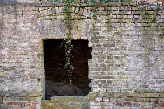 old dilapidated ruin of a villa