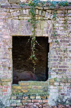 old dilapidated ruin of a villa