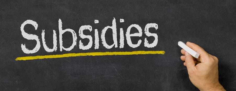 Text written on a blackboard - Subsidies