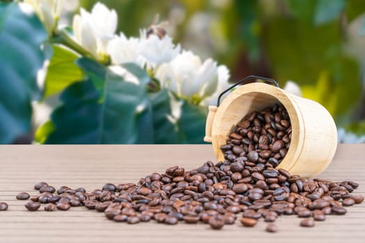 Close up wood cask with roasted coffee beans heap