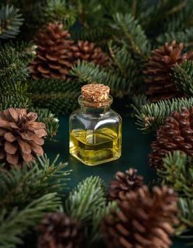 Glass bottle with conifer essential oil between fir branches and pine cones on green close up. Aromatherapy, spa and herbal medicine concept. Natural remedy or cosmetics.