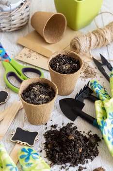 Herbs Seeds growing in a biodegradable pots near garden tools on wooden table. Indoor gardening, Homegrown plants, germinating herb seeds, top view