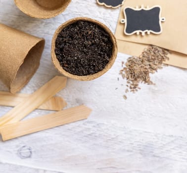 Dill seeds, biodegradable pots and garden tools top view. Homegrown plant, Indoor gardening and germinating herb seeds, on white wooden table, copy space