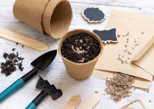 Dill seeds, biodegradable pots and garden tools close up. Homegrown plant, Indoor gardening and germinating herb seeds, on white wooden table
