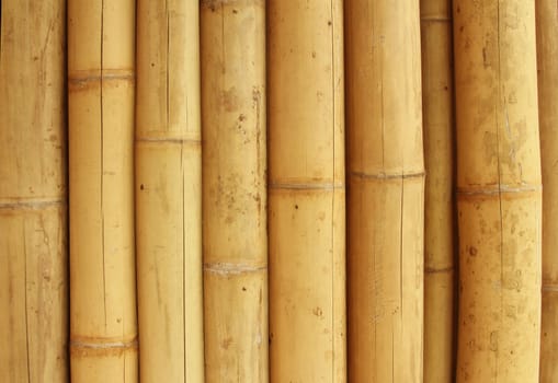 a Bamboo texture wall background