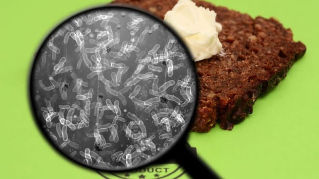 Searching for bacteria in bread,Searching for bacteria in bread