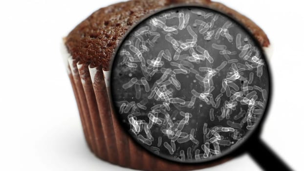 Searching for bacteria in sweets,Searching for bacteria in sweets