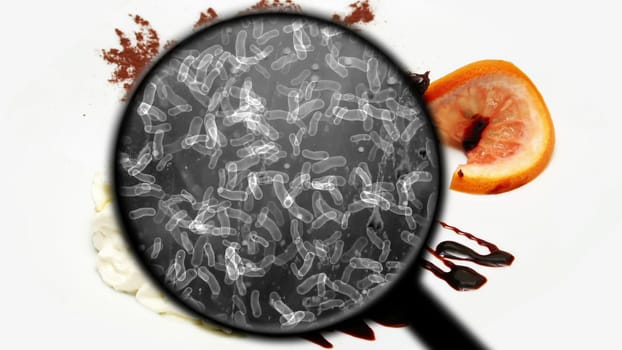 Searching for bacteria in sweets,Searching for bacteria in sweets