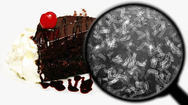 Searching for bacteria in sweets,Searching for bacteria in sweets