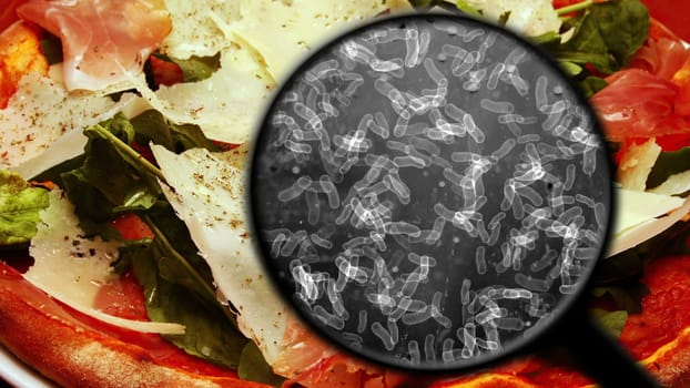 Searching For Bacteria In food,Searching For Bacteria In food