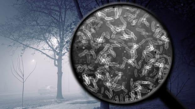 Searching for bacteria in the air,Searching for bacteria in the air