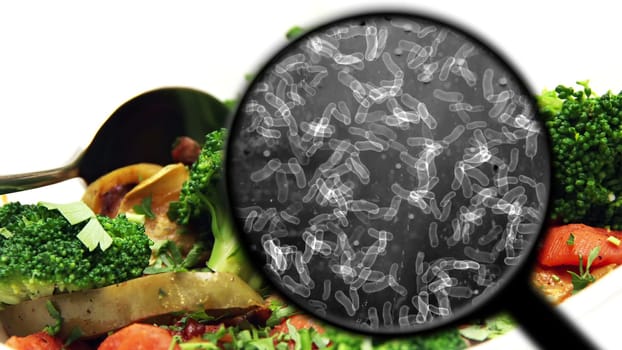 Searching for bacteria in vegetables,Searching for bacteria in vegetables