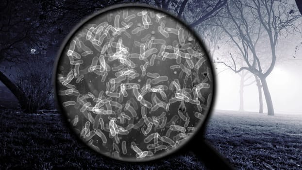 Searching for bacteria in the air,Searching for bacteria in the air