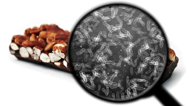 Searching for bacteria in sweets,Searching for bacteria in sweets