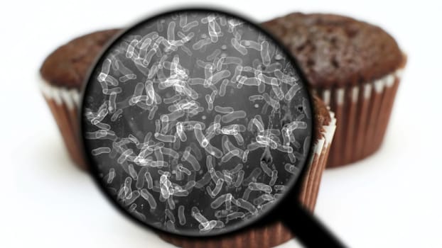 Searching for bacteria in sweets,Searching for bacteria in sweets