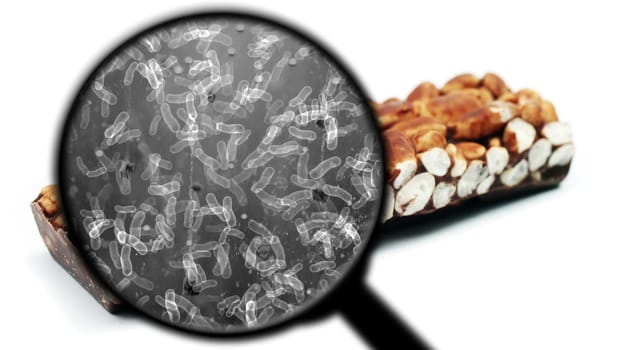 Searching for bacteria in sweets,Searching for bacteria in sweets