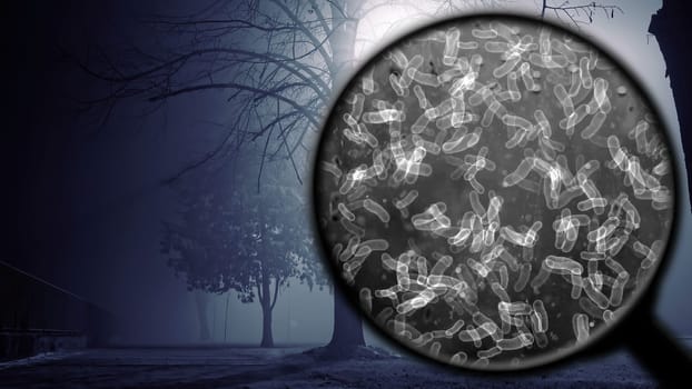 Searching for bacteria in the air,Searching for bacteria in the air