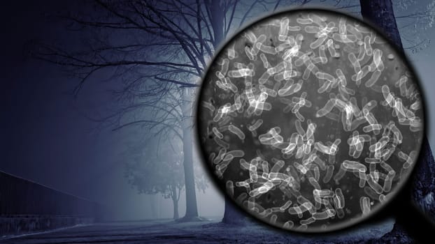 Searching for bacteria in the air,Searching for bacteria in the air