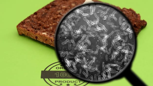 Searching for bacteria in bread,Searching for bacteria in bread