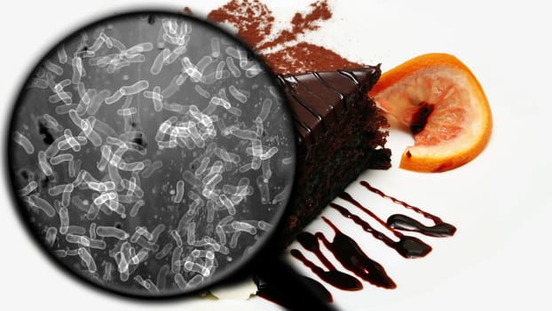 Searching for bacteria in sweets,Searching for bacteria in sweets