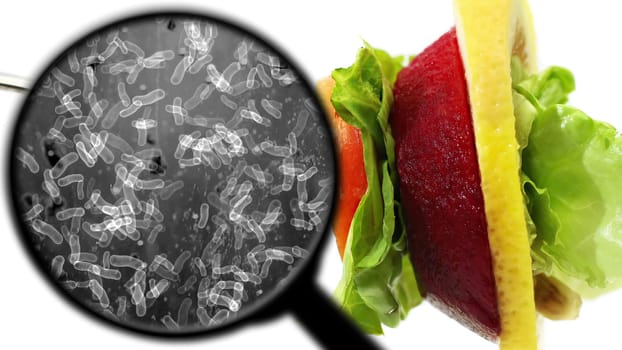 Searching for bacteria in vegetables,Searching for bacteria in vegetables