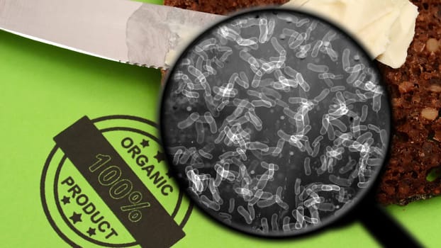 Searching for bacteria in bread,Searching for bacteria in bread