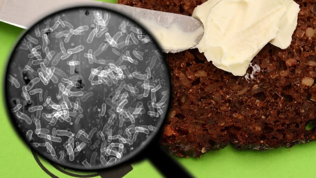 Searching for bacteria in bread,Searching for bacteria in bread