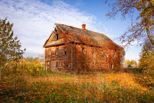 Old abandoned wodden house covered with ivy