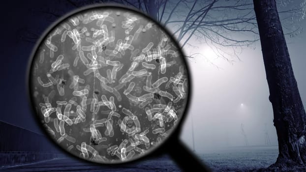 Searching for bacteria in the air,Searching for bacteria in the air