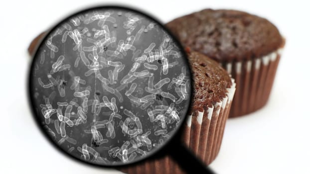 Searching for bacteria in sweets,Searching for bacteria in sweets