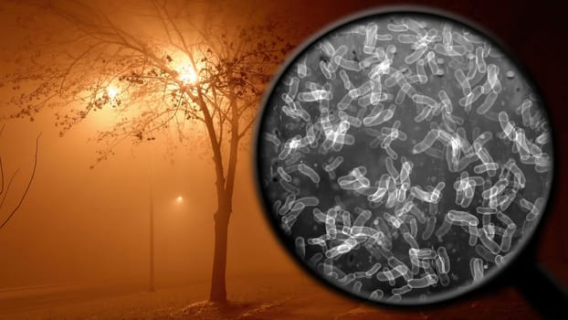 Searching for bacteria in the air,Searching for bacteria in the air