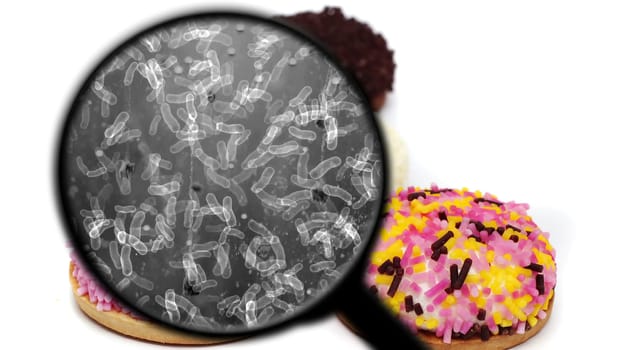 Searching for bacteria in sweets,Searching for bacteria in sweets