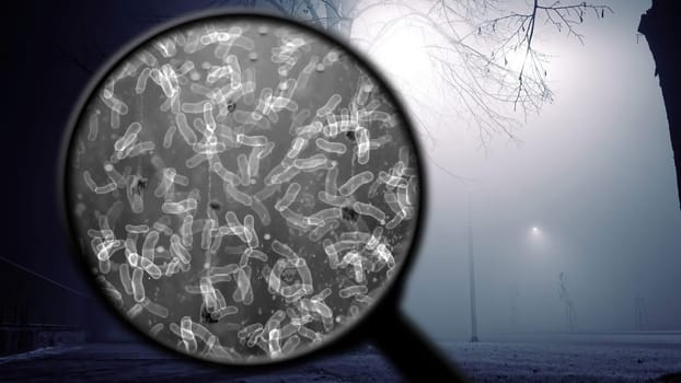 Searching for bacteria in the air,Searching for bacteria in the air