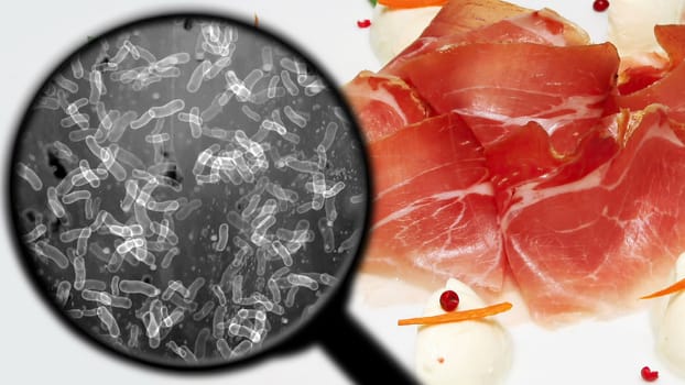 Searching for bacteria in meat,Searching for bacteria in meat