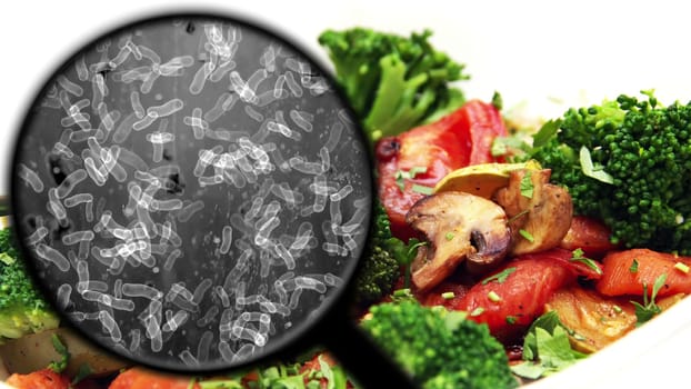 Searching for bacteria in vegetables,Searching for bacteria in vegetables
