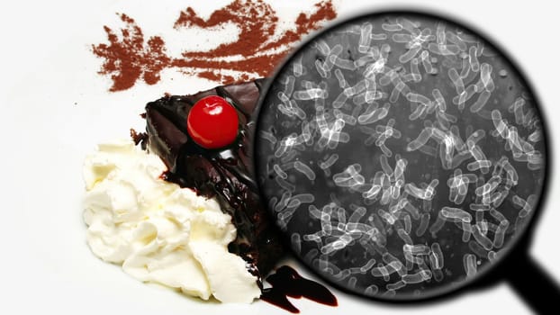 Searching for bacteria in sweets,Searching for bacteria in sweets