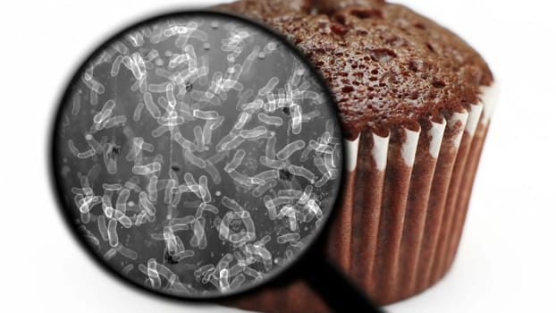 Searching for bacteria in sweets,Searching for bacteria in sweets
