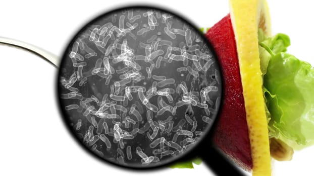 Searching for bacteria in vegetables,Searching for bacteria in vegetables